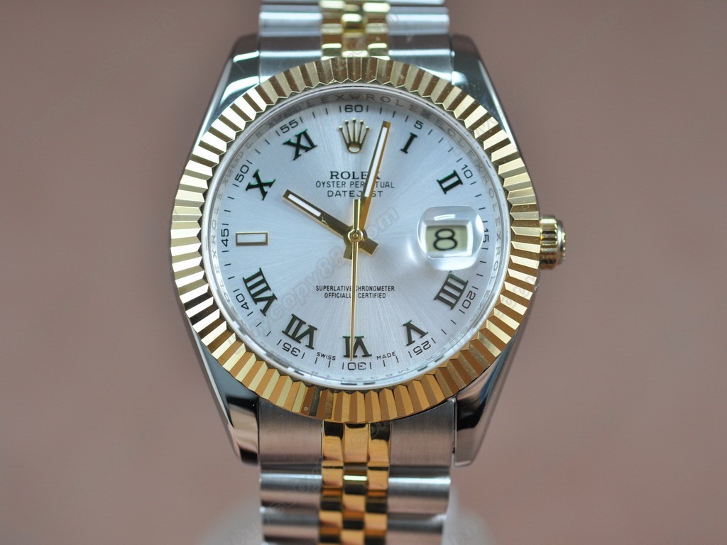 勞力士【男性用】DateJust 36mm TT White Dial A-2836-2 自動機芯0